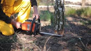 Lawn Maintenance Plans in Castle Hills, TX